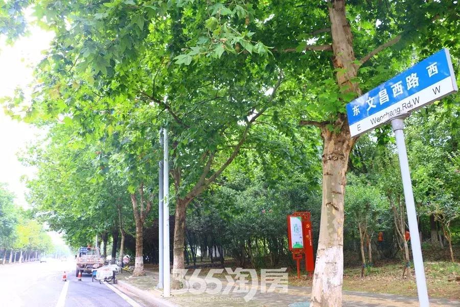 芜湖城南新建两所小学,芜湖江北新建学校最新规划