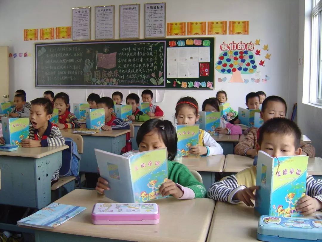 人大代表最新教育建议,人大代表对九年义务教育的意见