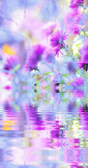 50张极致水中花美照!绝世千年!一次一张!(速看)