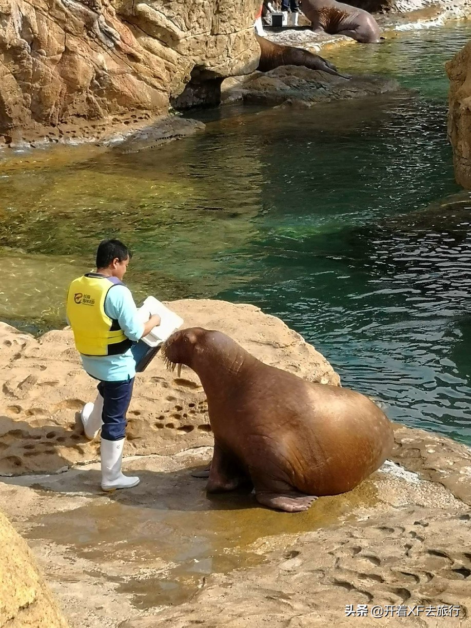 说走就走的旅行攻略省钱一天,说走就走的旅行攻略大全