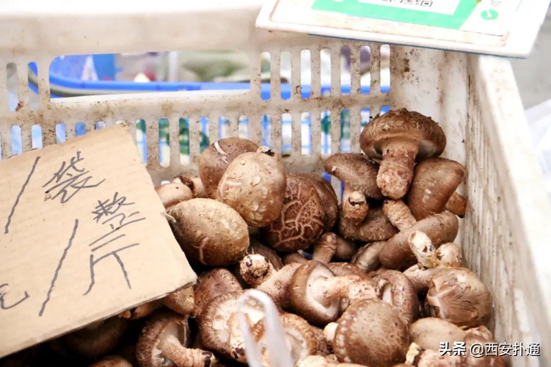 在西安,你一定要逛一次万寿路的早市