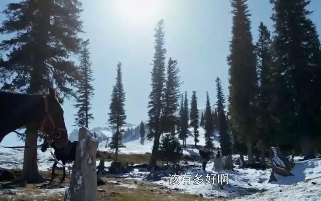 这实在令人惊奇：《将夜》竟也能穿越皮相“永夜月出”终极三问