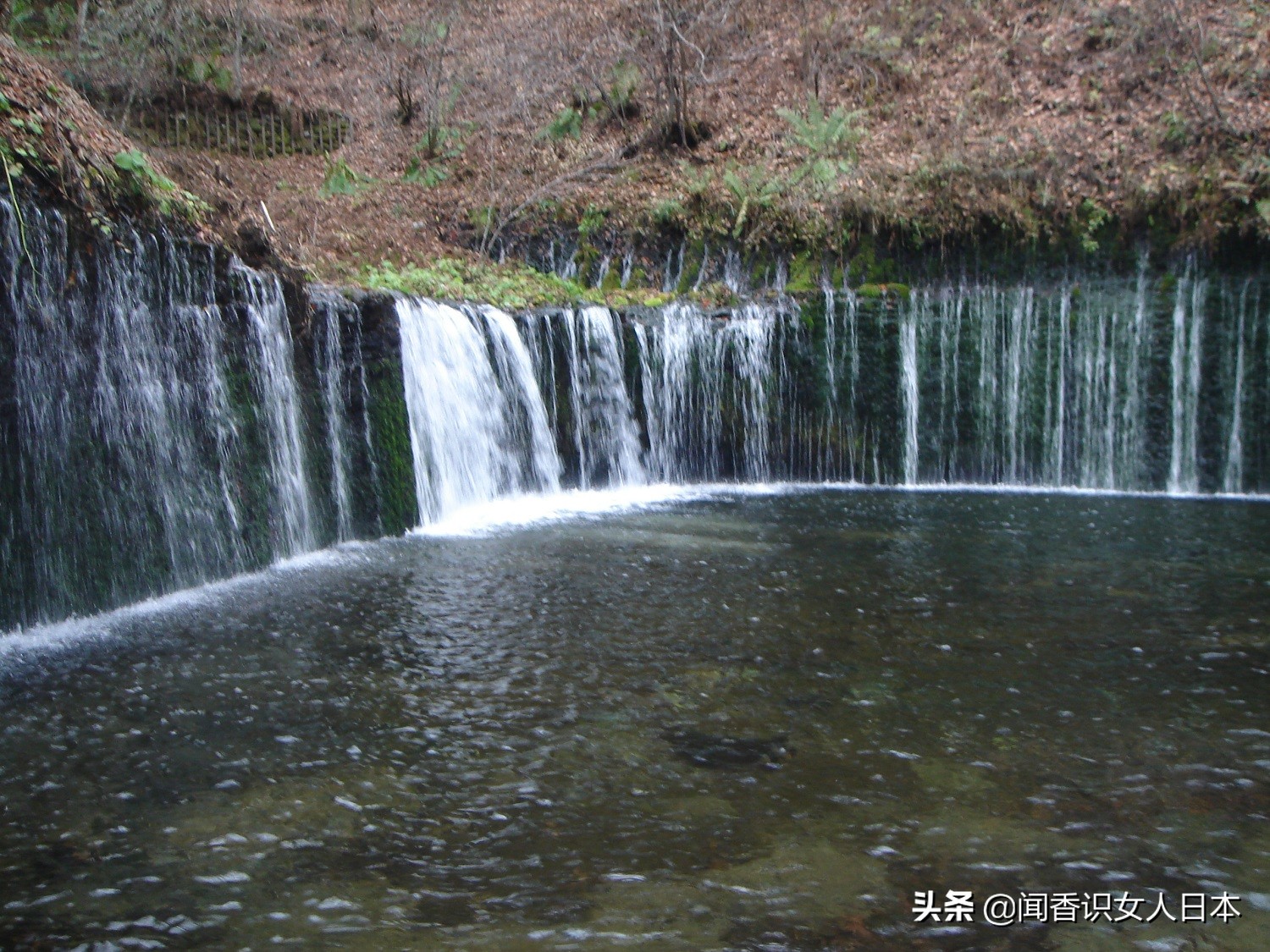 长野好玩的地方,日本长野旅游攻略