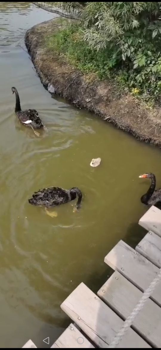 从哈尔滨松北大道右转太阳大道，豁然开朗