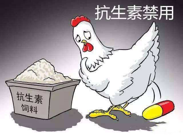 畜禽养殖抗菌药减量化指导,畜禽养殖源头减量控制技术