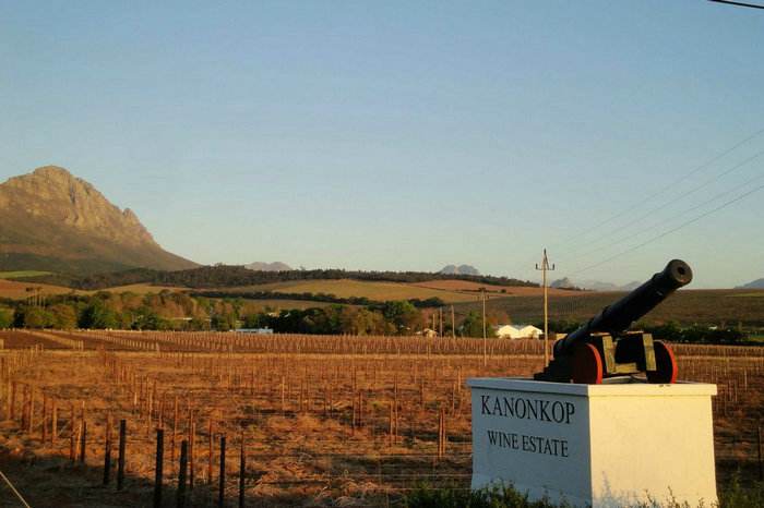 南非葡萄酒产区分布图,南非酒世界