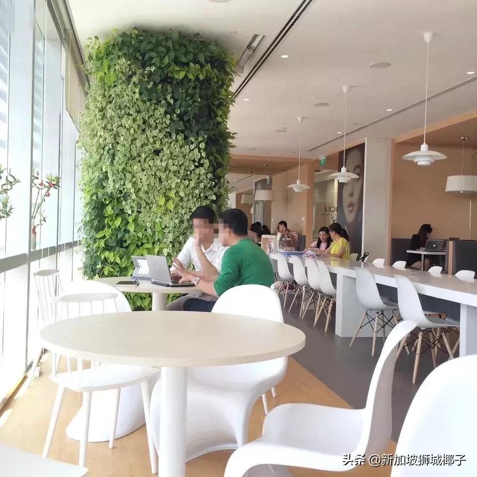 新加坡最缺的顶尖人才,新加坡月薪10000有多少人