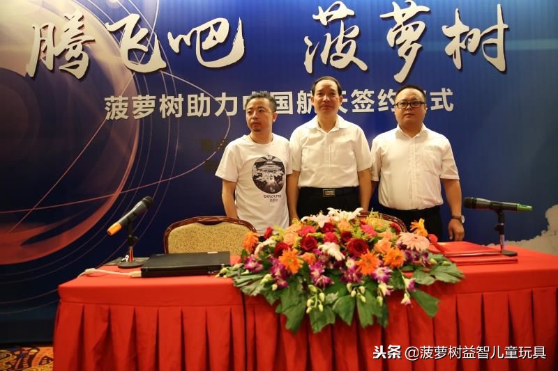 菠萝树儿童益智玩具怎么玩,菠萝树益智玩具活动方案