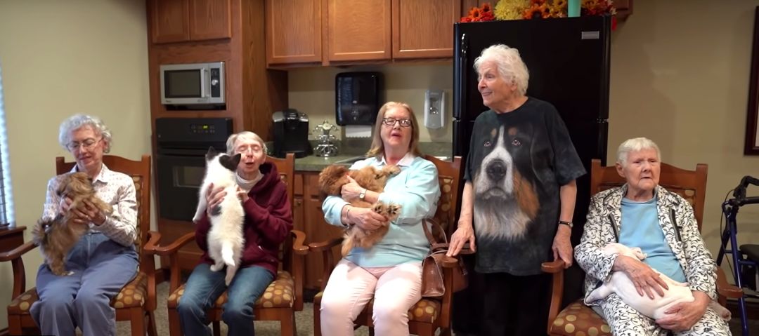 93岁奶奶恶搞27岁孙子，一夜爆红！1300万网友围观：奶奶太坑了