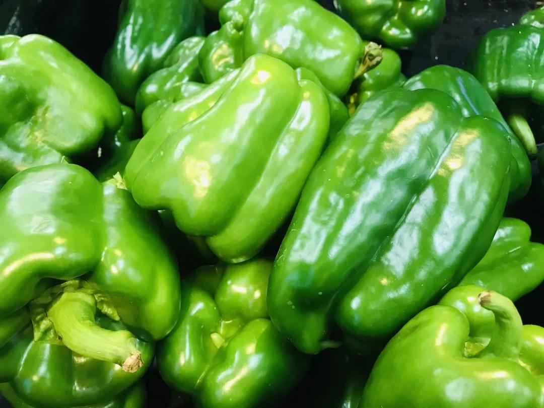 二十四节气养生,二十四节气歌全文及解释