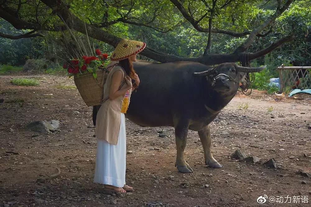 这么一片五彩滩涂奇幻仙境，超惊艳！在福建，厦门动车可以直达
