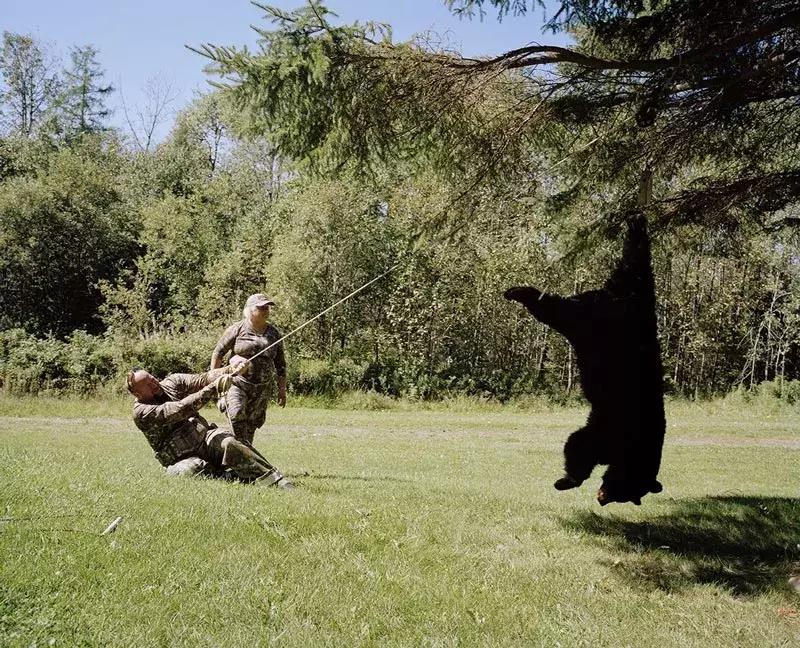 2018ippa摄影大赛公布获奖作品,国际摄影大奖佳作欣赏美爆了