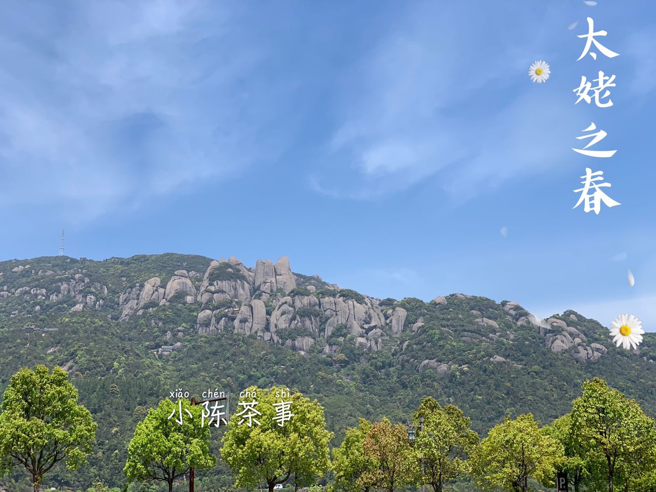 泡白茶的六种注水方式您注意过吗,白茶快速注水方法视频