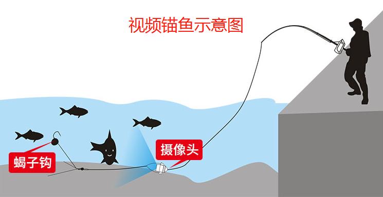 无视野锚鱼,为啥不禁止锚鱼