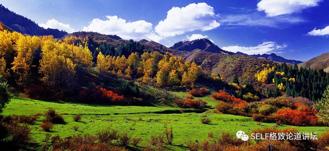 新疆天山世界文化遗产,天山为什么被入选为世界自然遗产