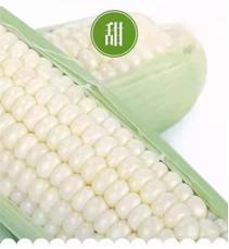 广东有机农业协会,广东省有机农业协会