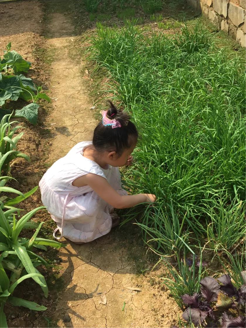 乡村散文：捉鱼弄虾（原创）