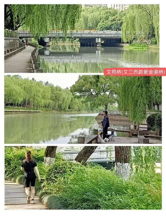 紫金港绿道钓鱼,紫金港河钓鱼