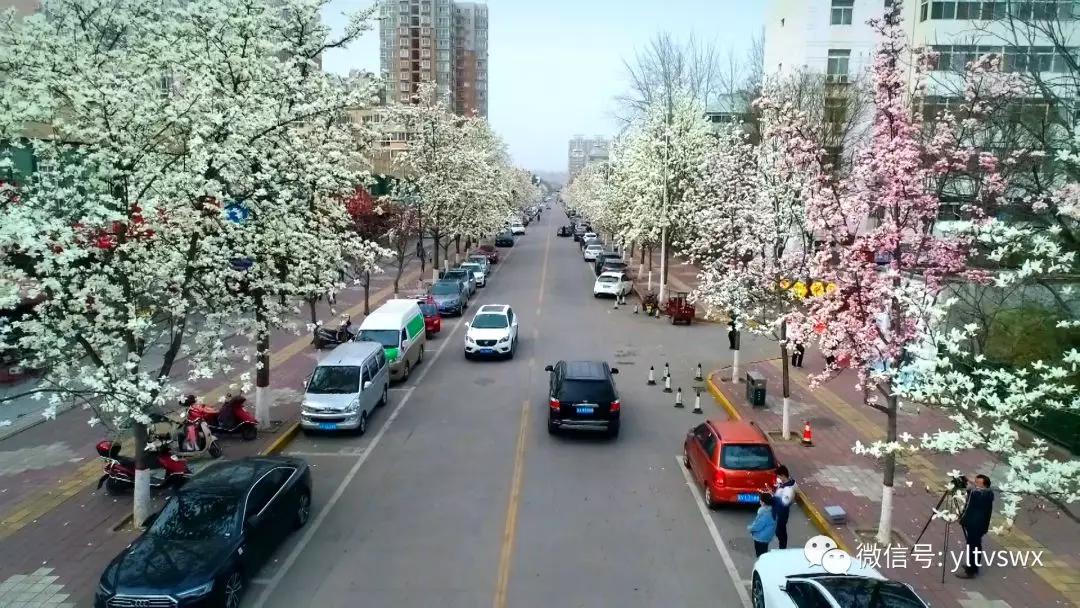 杨凌现状,杨凌最新照片