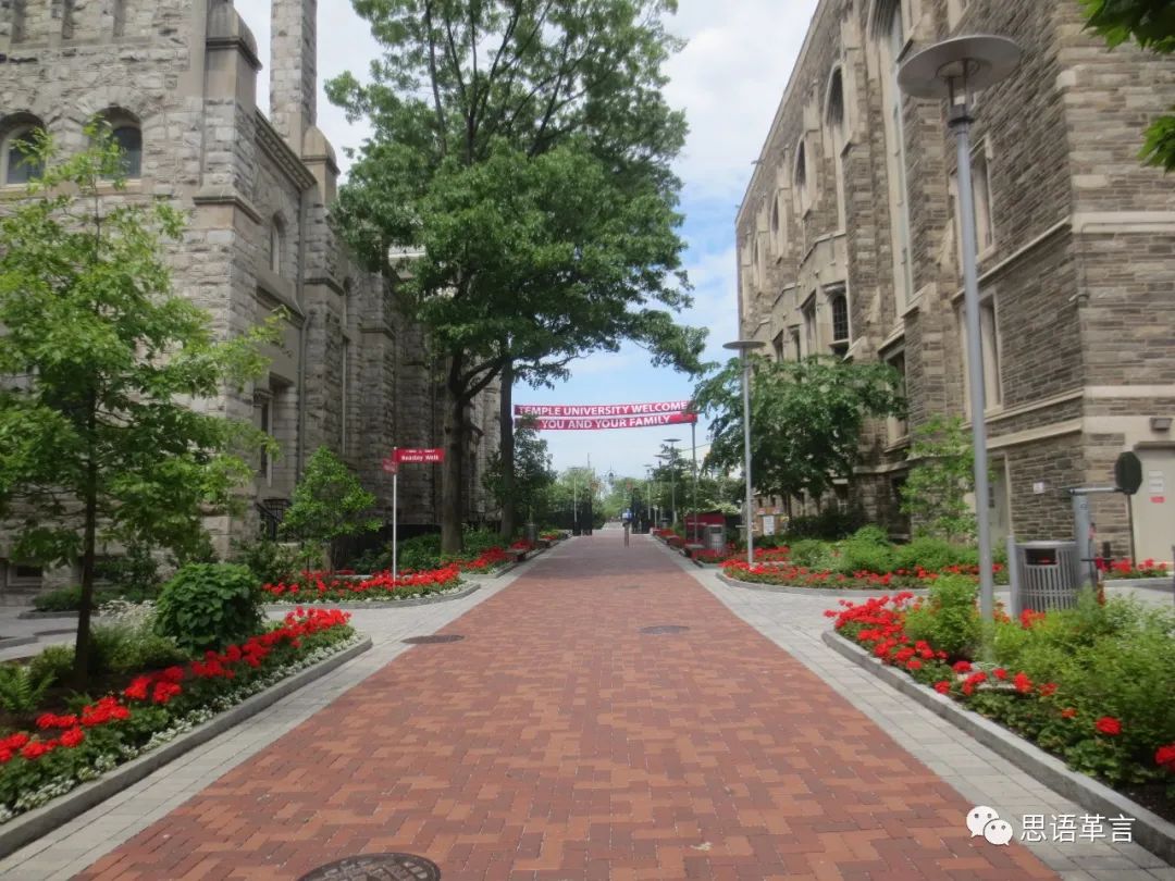 美国行完整版视频,美国行之纽约篇完整版