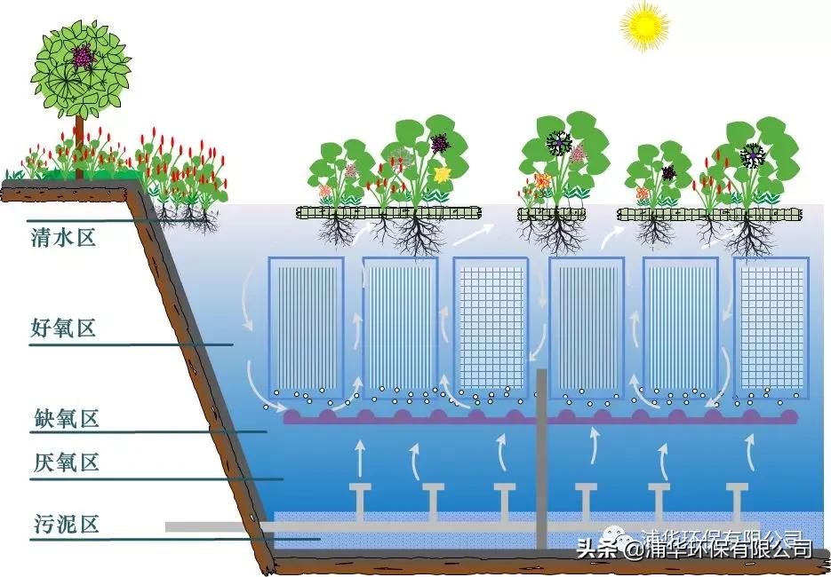 技术解谜|这道全国理综污水净化题，你对做了吗？