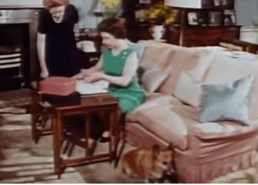 英女王下令封杀50年!王室私生活*片禁**遭泄露,百万人在线吃瓜