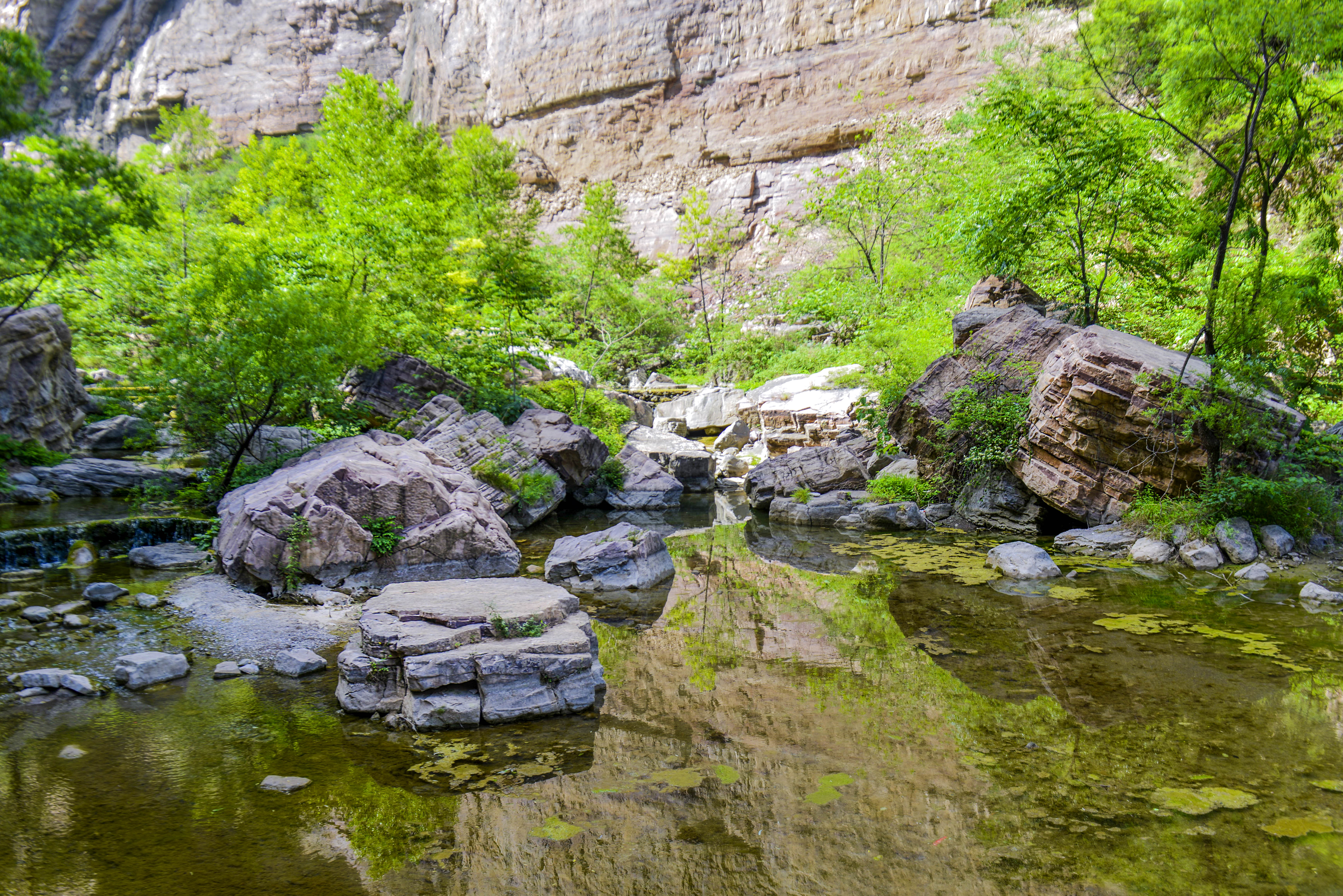 来到这里，我承认我腿有些软，但我还是痴迷于它的美