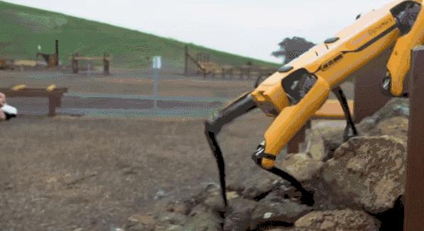 填志愿时服从调剂怎么填,填志愿可以全部填本省吗