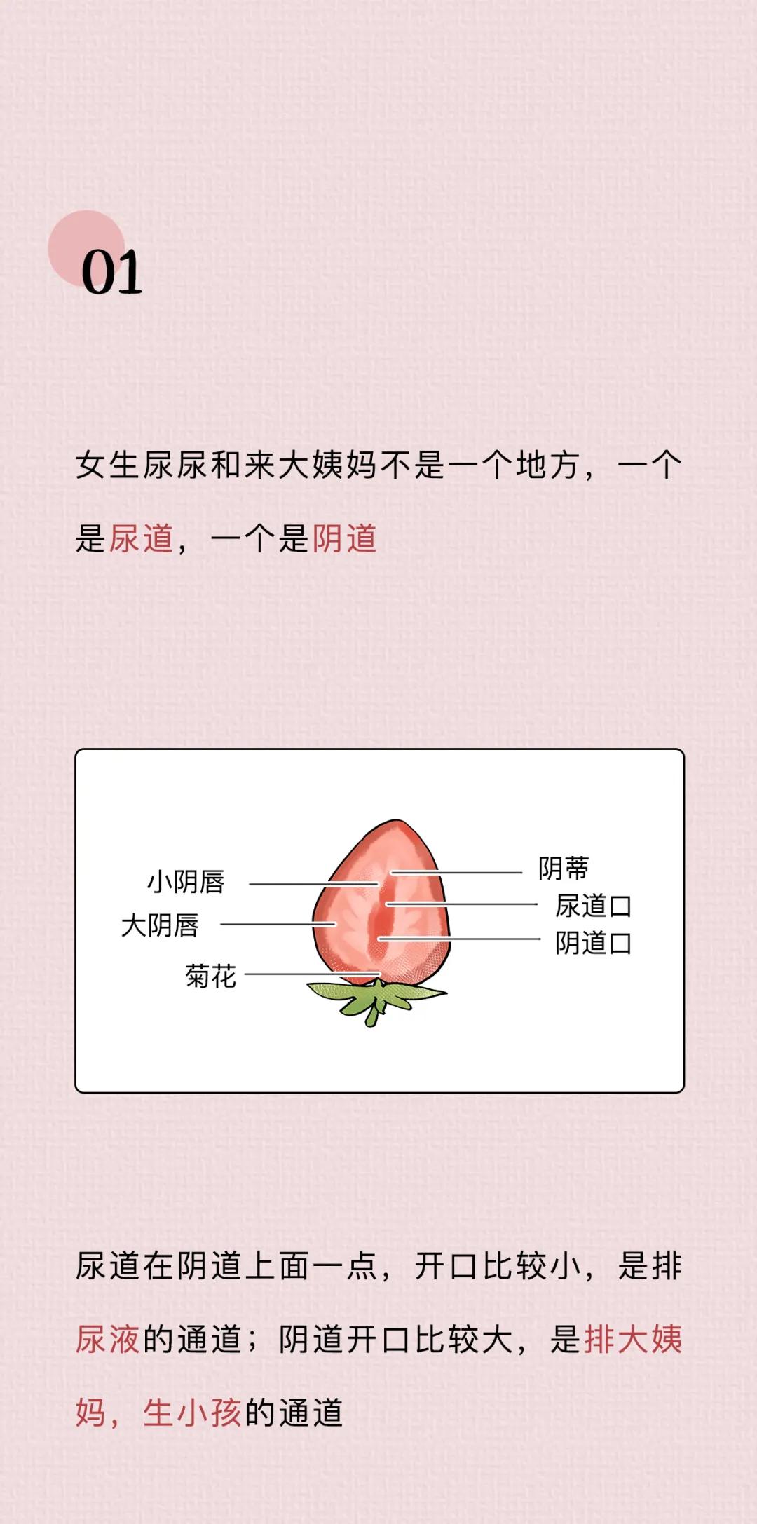 女性阴道生理科普知识大全,女性阴道生理科普知识大全100题