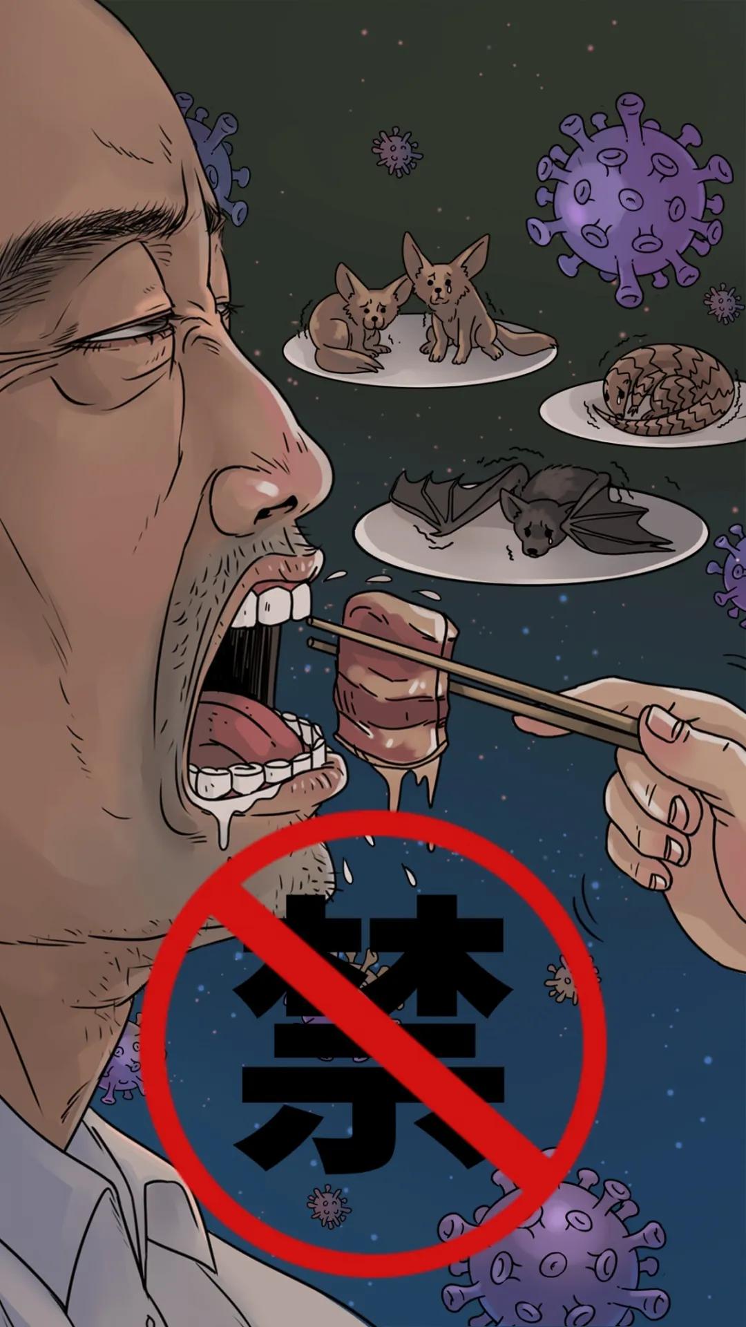 哪些野生动物不能吃？野生动物名录了解一下