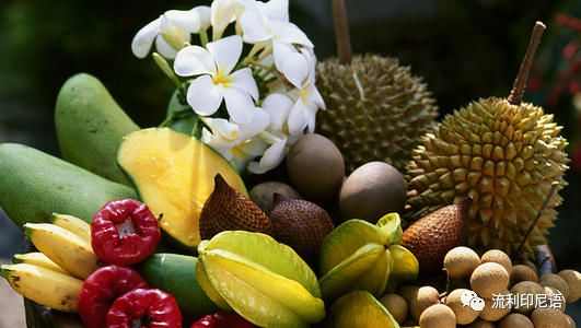 清凉一夏愉快吃瓜—印尼常见水果大全