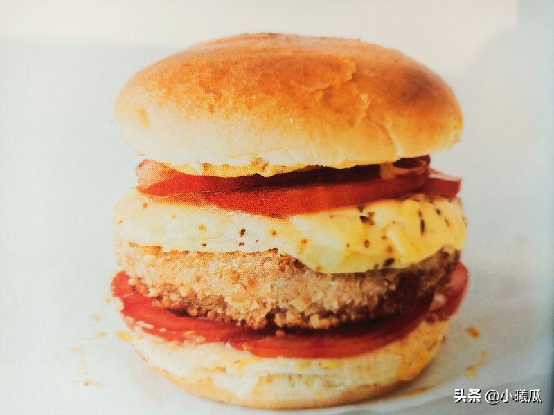 汉堡包是健康食品还是垃圾食品,汉堡包是不是有害食品