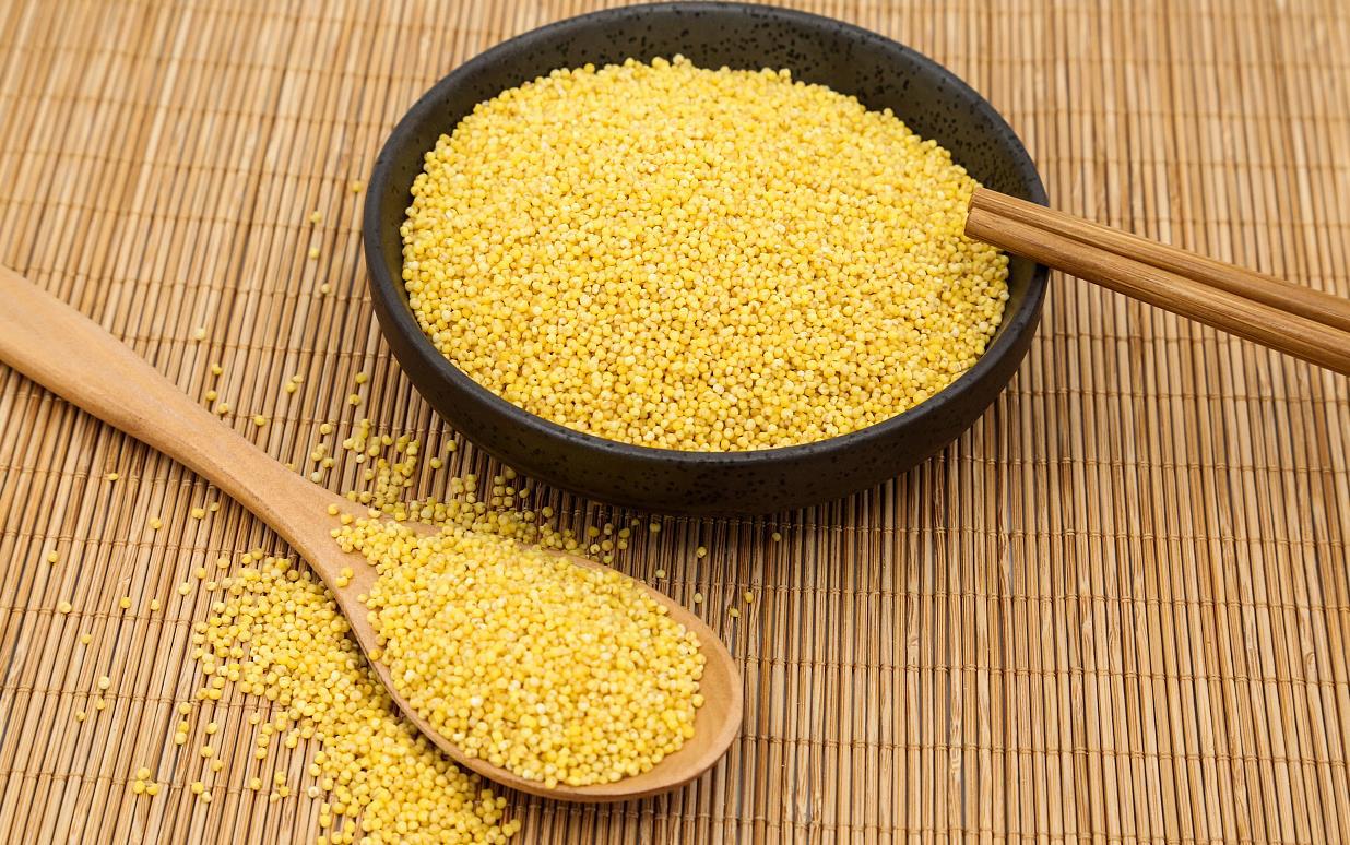 小米已经生虫了怎么处理,小米里生虫的妙招