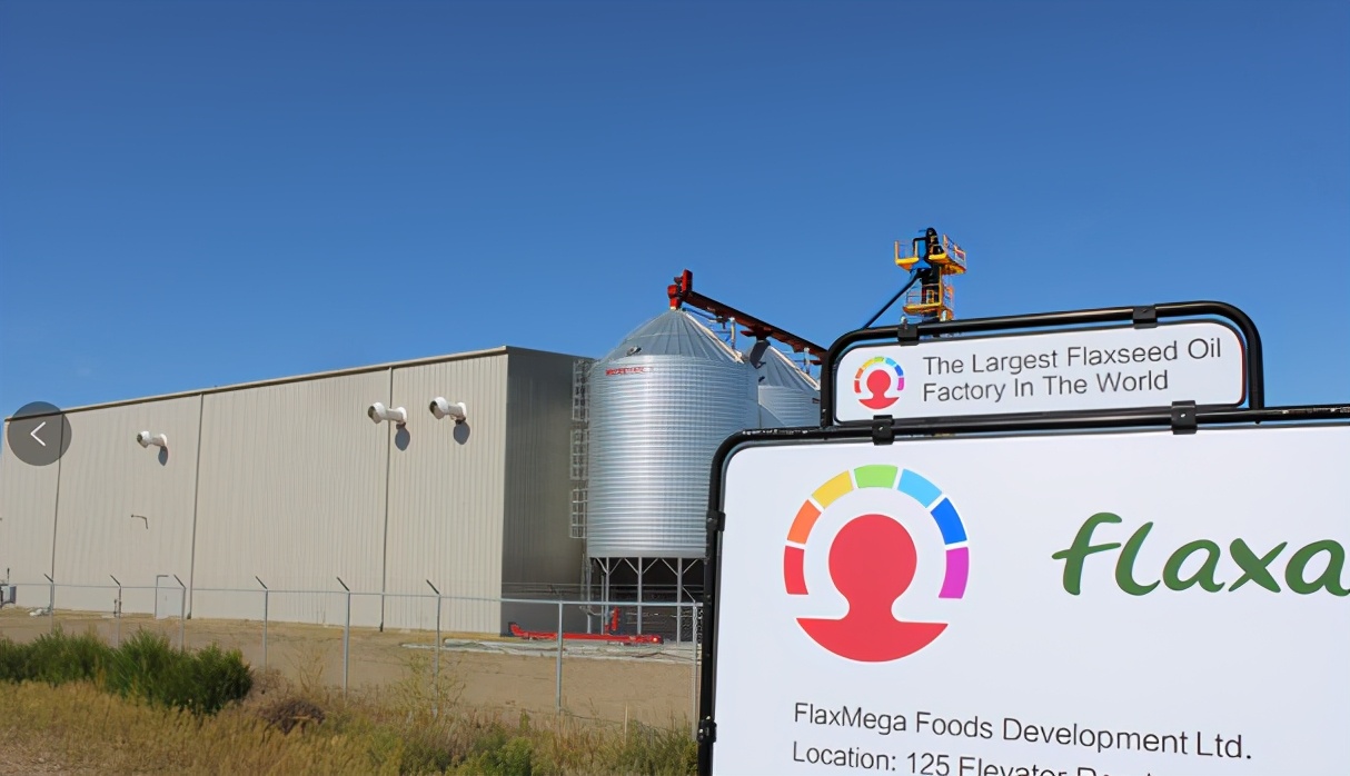 诚致亚麻籽种植基地,诚致亚麻籽油生产研发多长时间