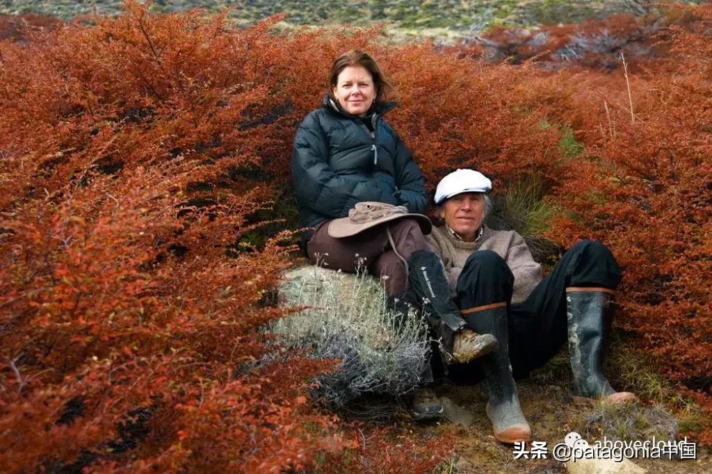 鏅哄埄鐧剧撼鍏洯,鏅哄埄鐧剧撼鍥藉鍏洯