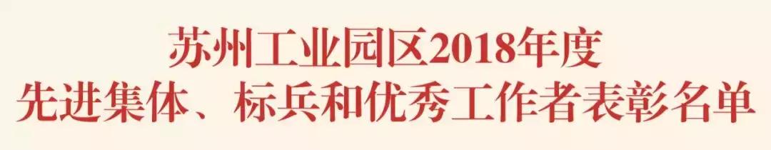 园区优秀团队奖励,2019集体表彰名单