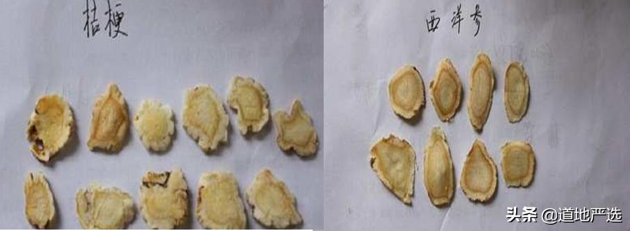 怎么鉴别人参是真是假,如何判断人参的真假和质量