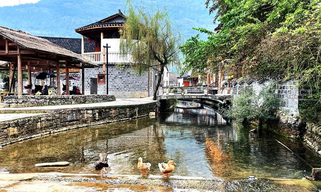 贵州的春天是最美的季节,贵州风景风情