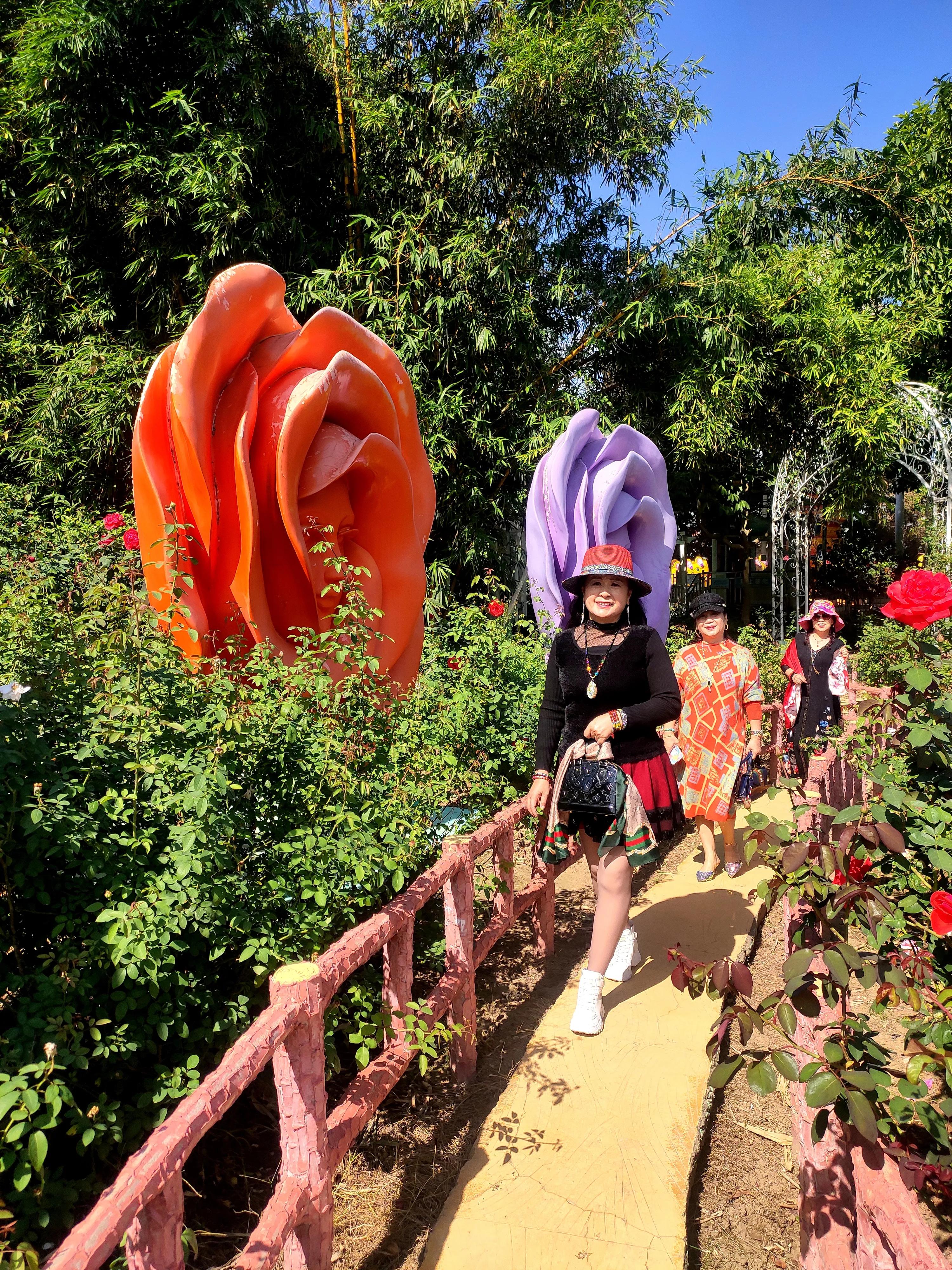 南沙好玩的地方百万葵园,广州南沙百万葵园几月份去最好