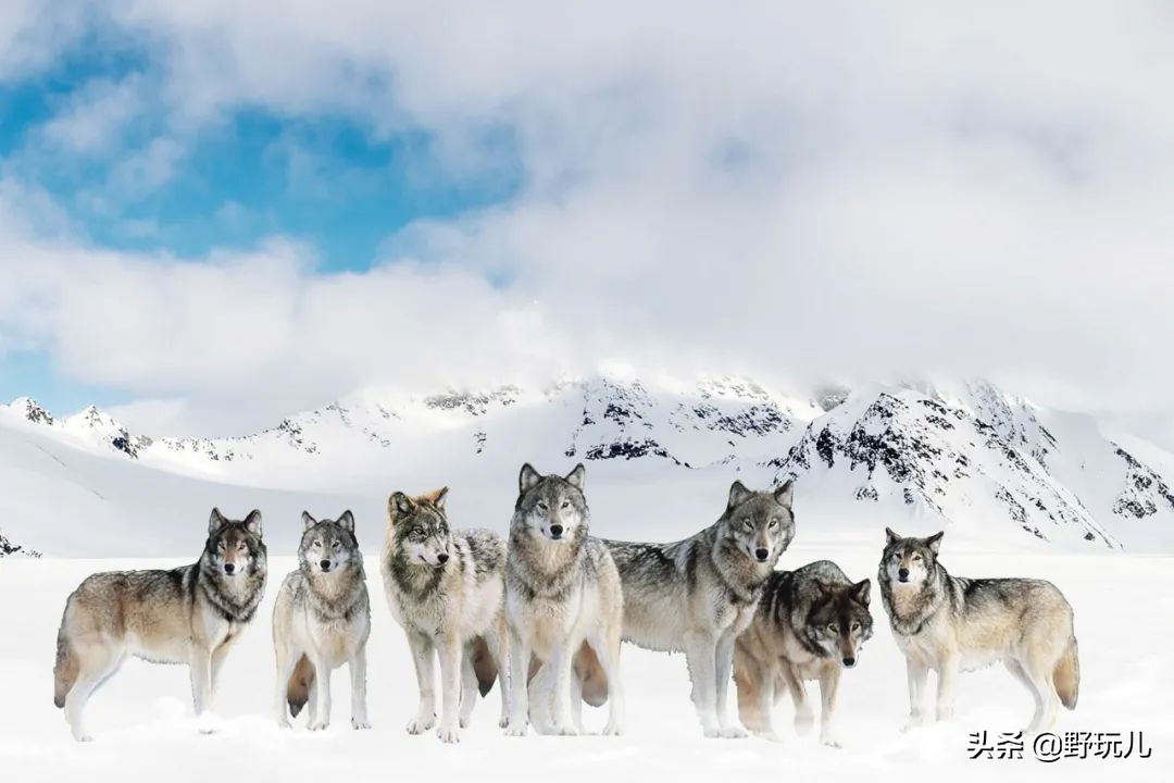 十一假期户外旅游注意事项,假期出游注意事项和防护
