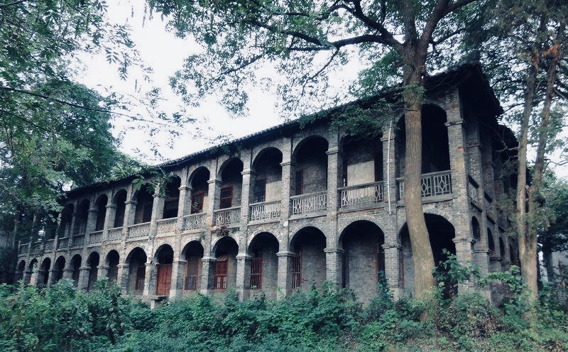 鏂囨梾妗f,宀抽槼鏂囨梾妗f2019