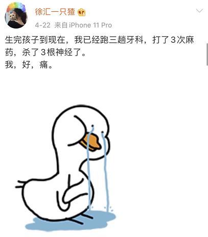 papi酱产后的真实心酸,papi酱产后晒全家福