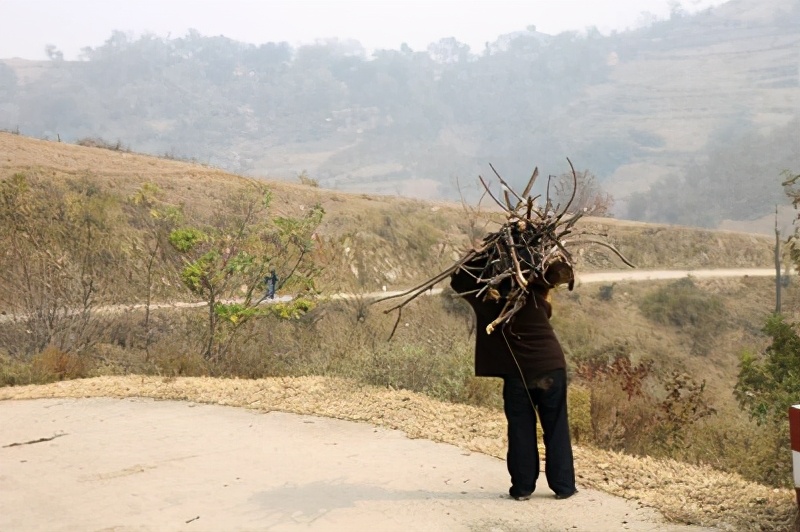 散文落叶片段,散文落叶歌曲