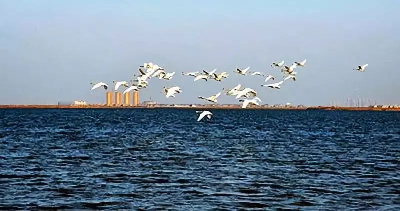 美丽动听的名字——天津之“静海区”