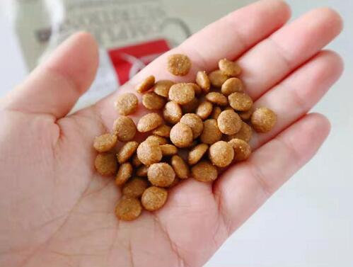 兰夏狗粮怎么样,兰夏麦富迪狗粮怎么样