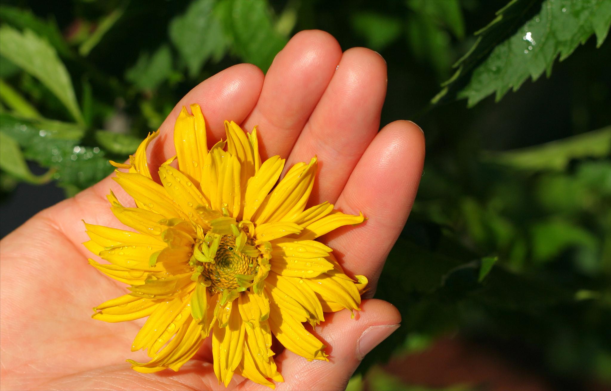 屁屁出血和久坐有关系吗,屁屁出血