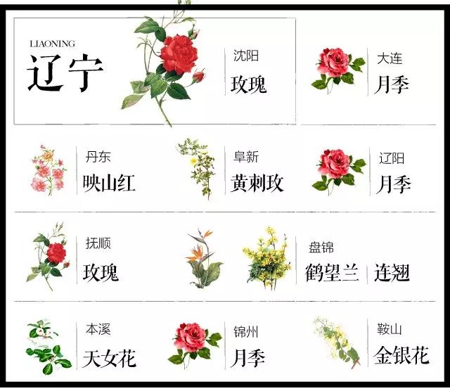 全国各个城市的市花一览表,十大城市的市花