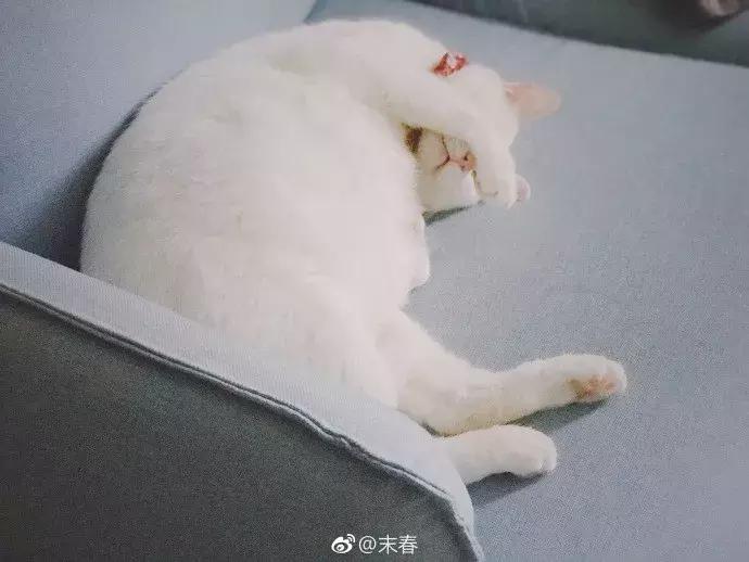 小央美的图片,小央美画作品欣赏