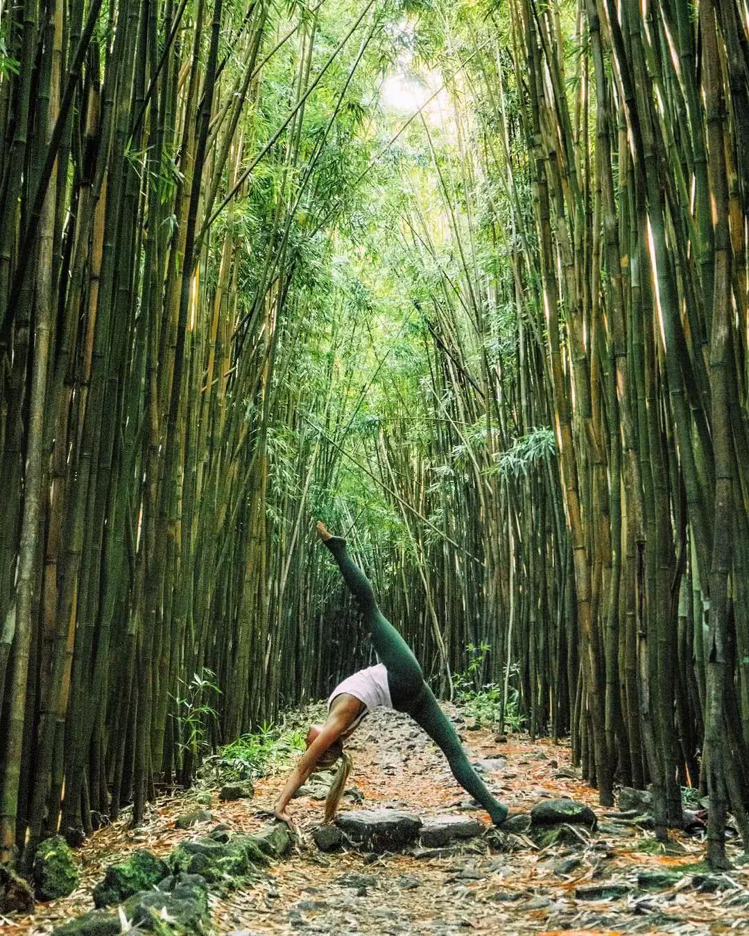 练形体的小办法,零基础小白如何练形体