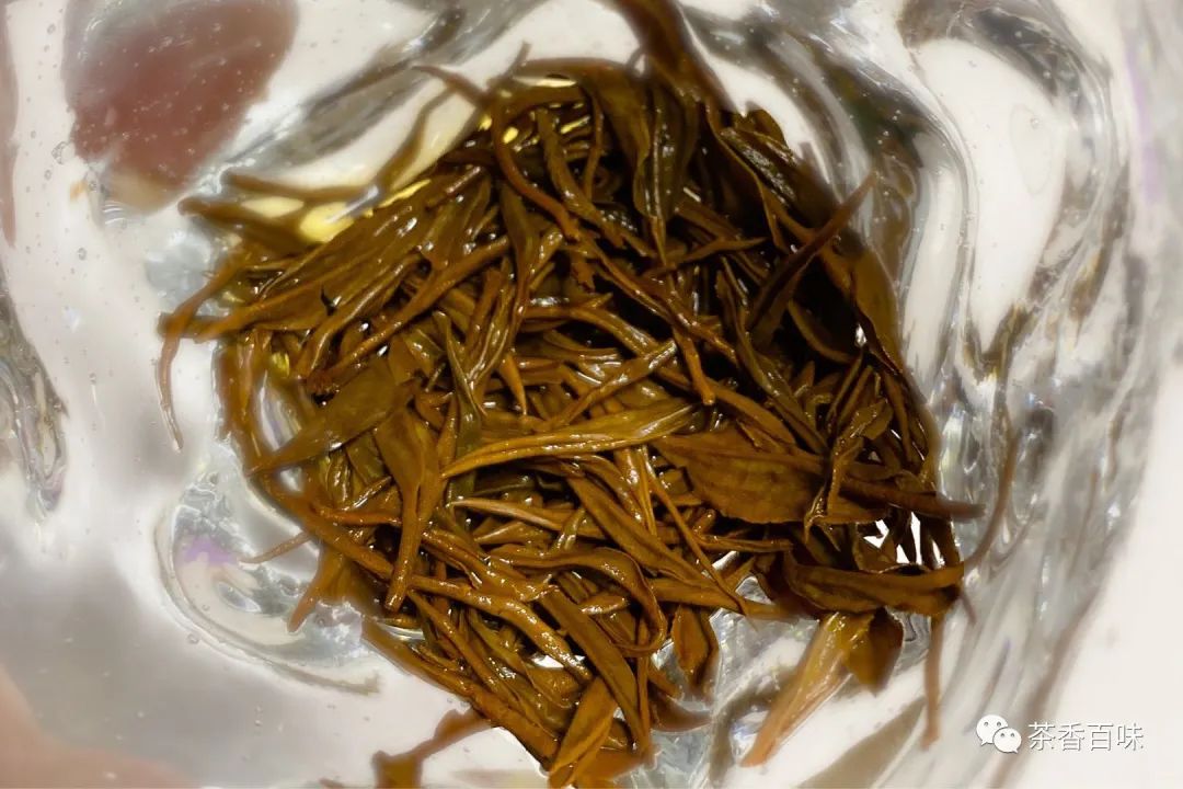 喝九曲红梅后的感受,九曲红梅为什么那么细